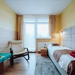 Borowik