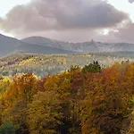 Borowik